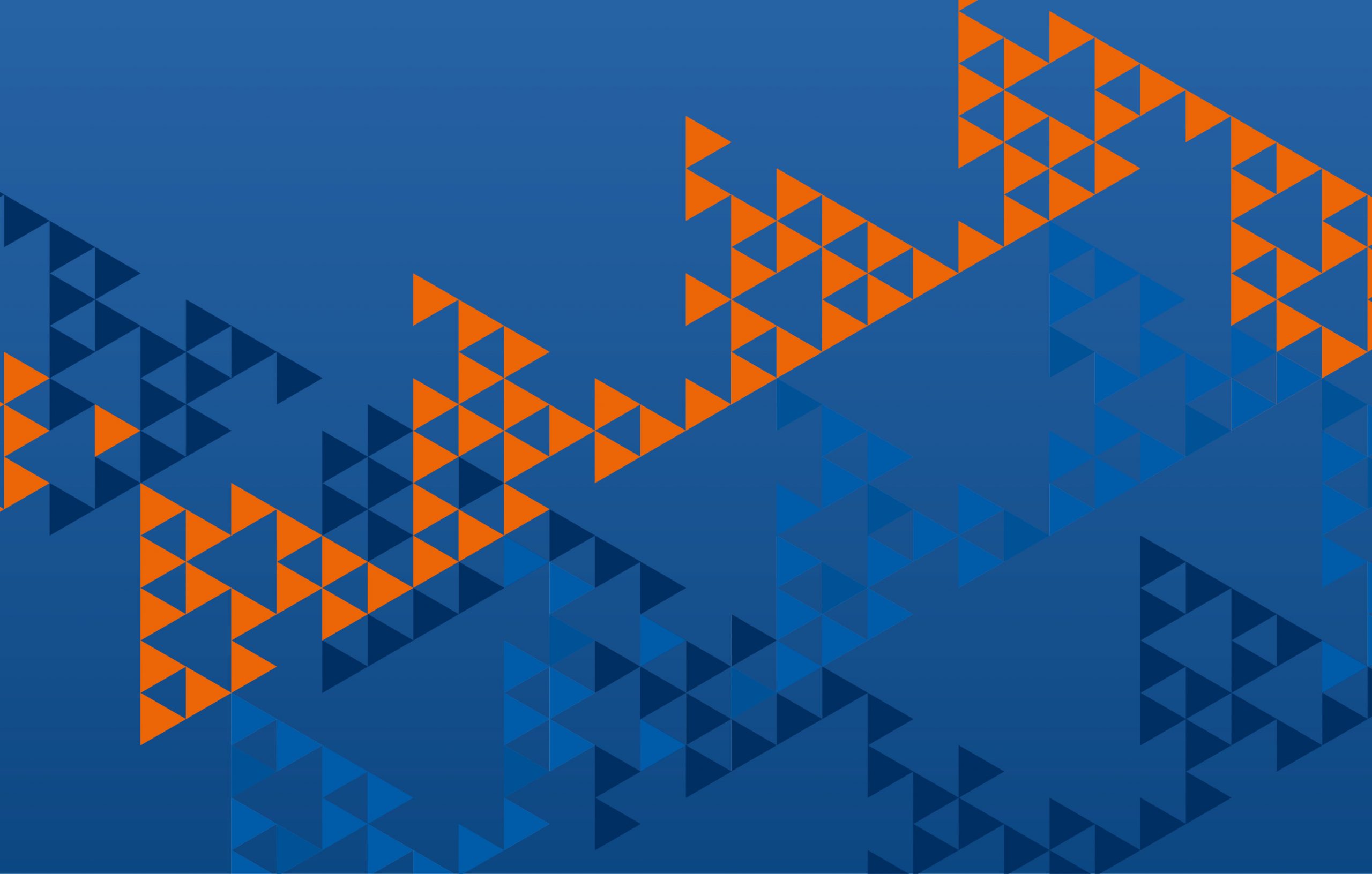 Mainzer Volksbank Pattern Muster