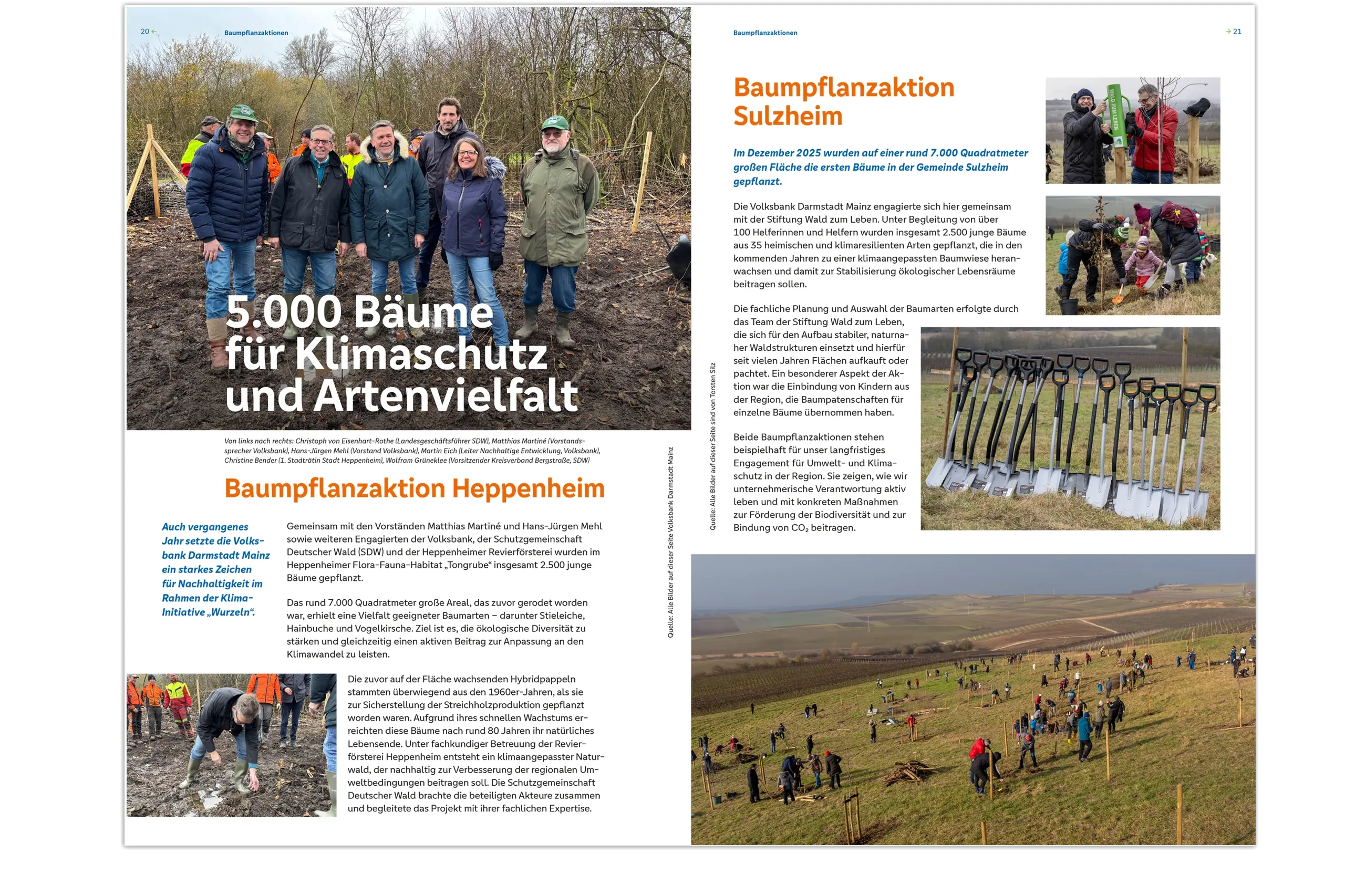 5000 Bäume für Klimaschutz und Artenvielfalt, Auch vergangenes Jahr setzte die Volksbank Darmstadt Mainz ein starkes Zeichen für Nachhaltigkeit im Rahmen der Klima- Initiative „Wurzeln“.