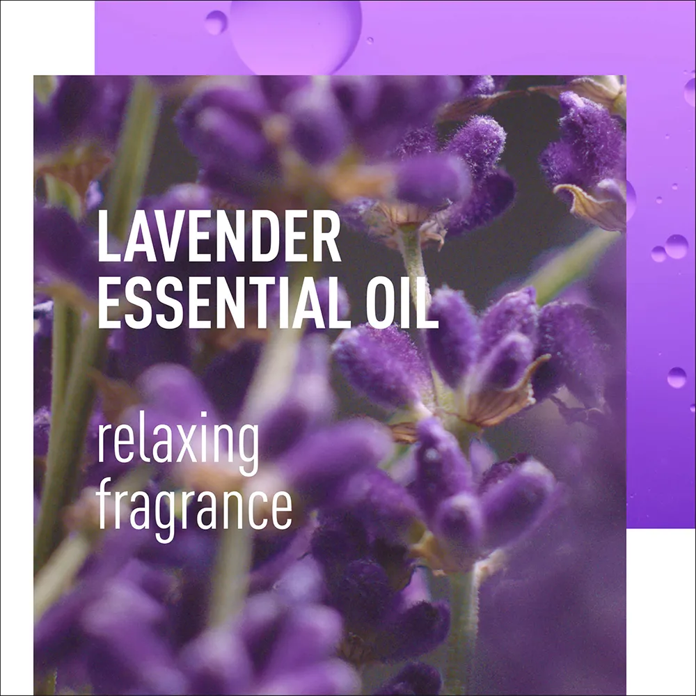 lavender essential oil relaxing fragrance