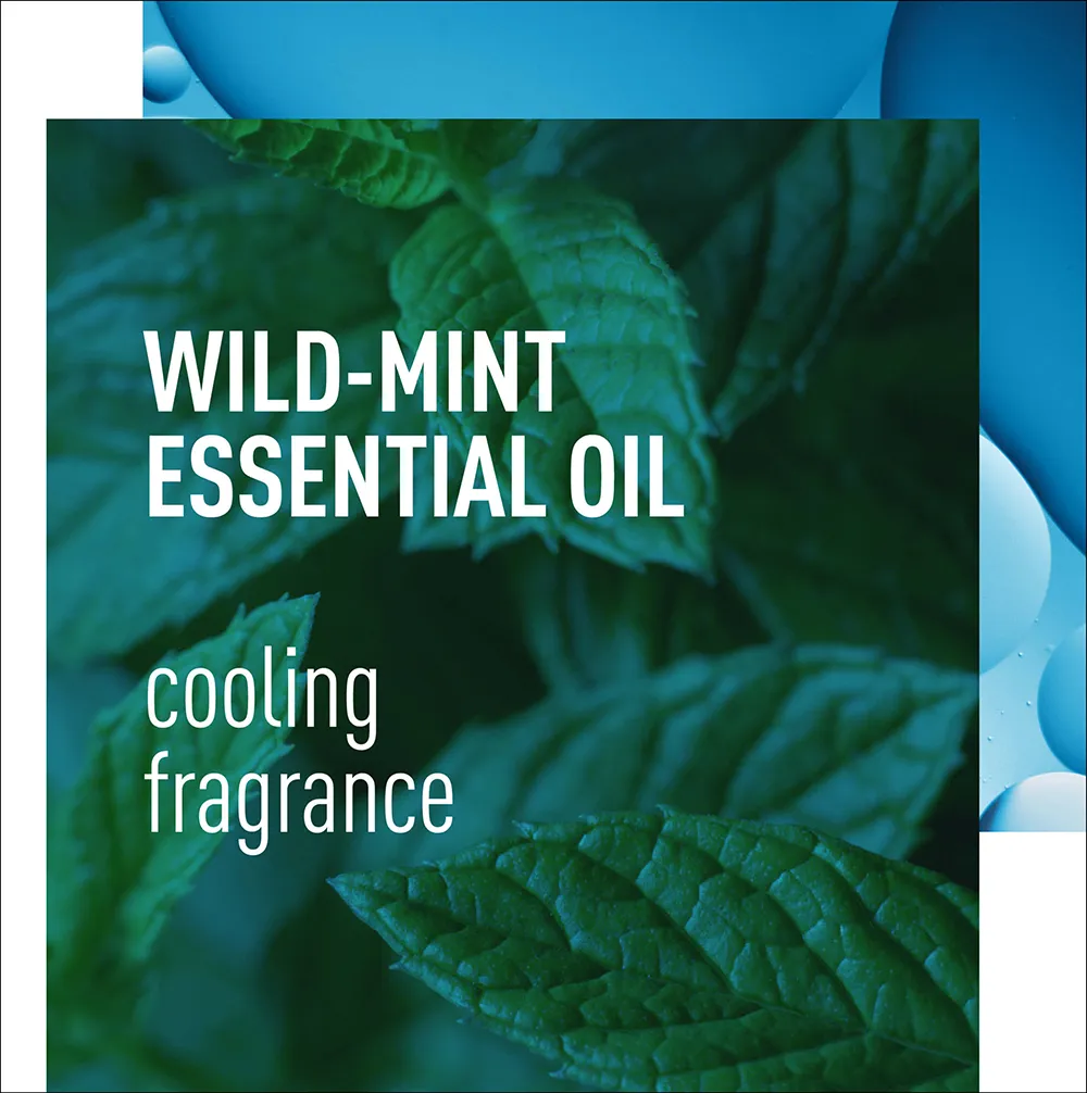 wild mint essential oil cooling fragrance