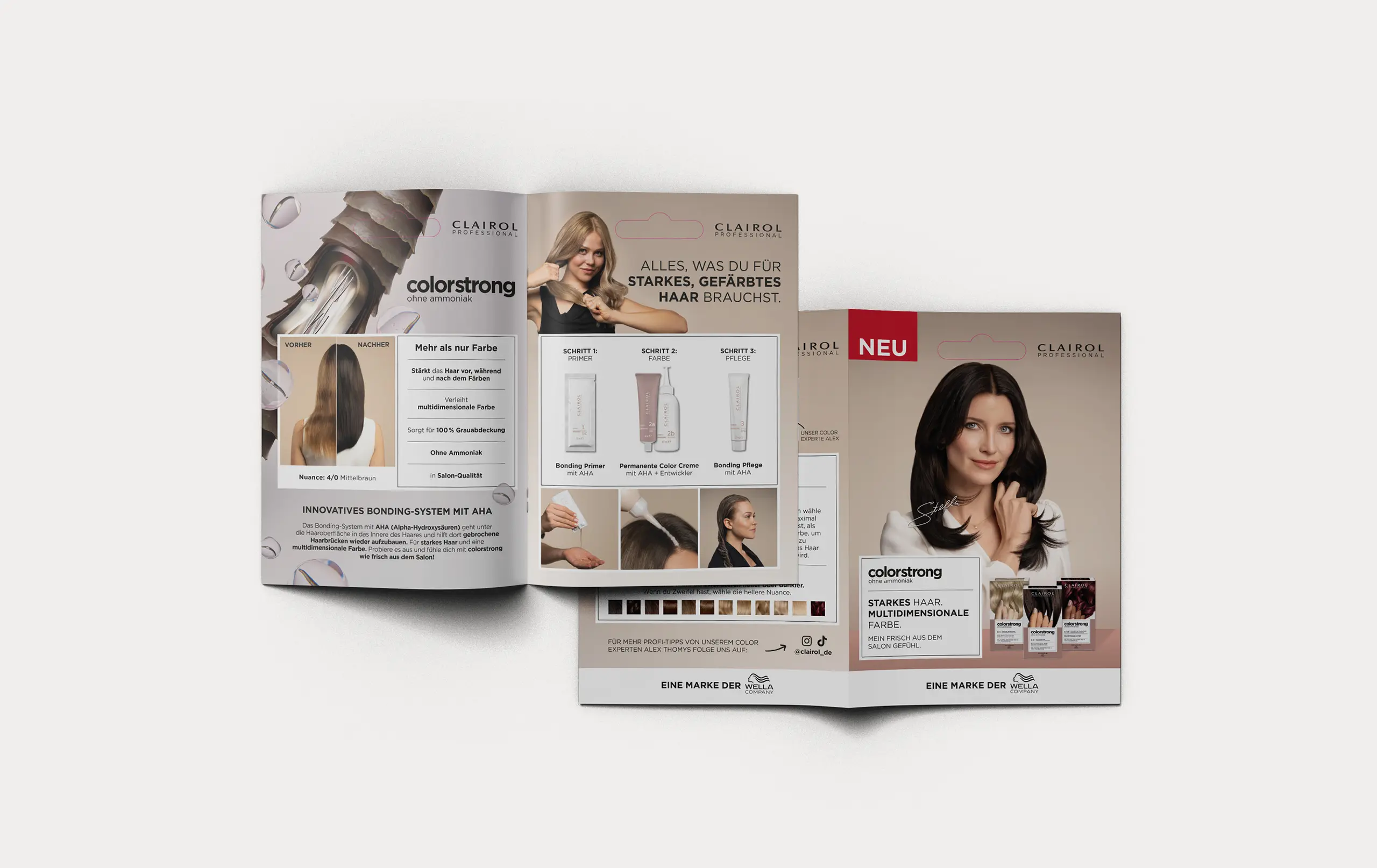 Clairol colorstrong print Flyer