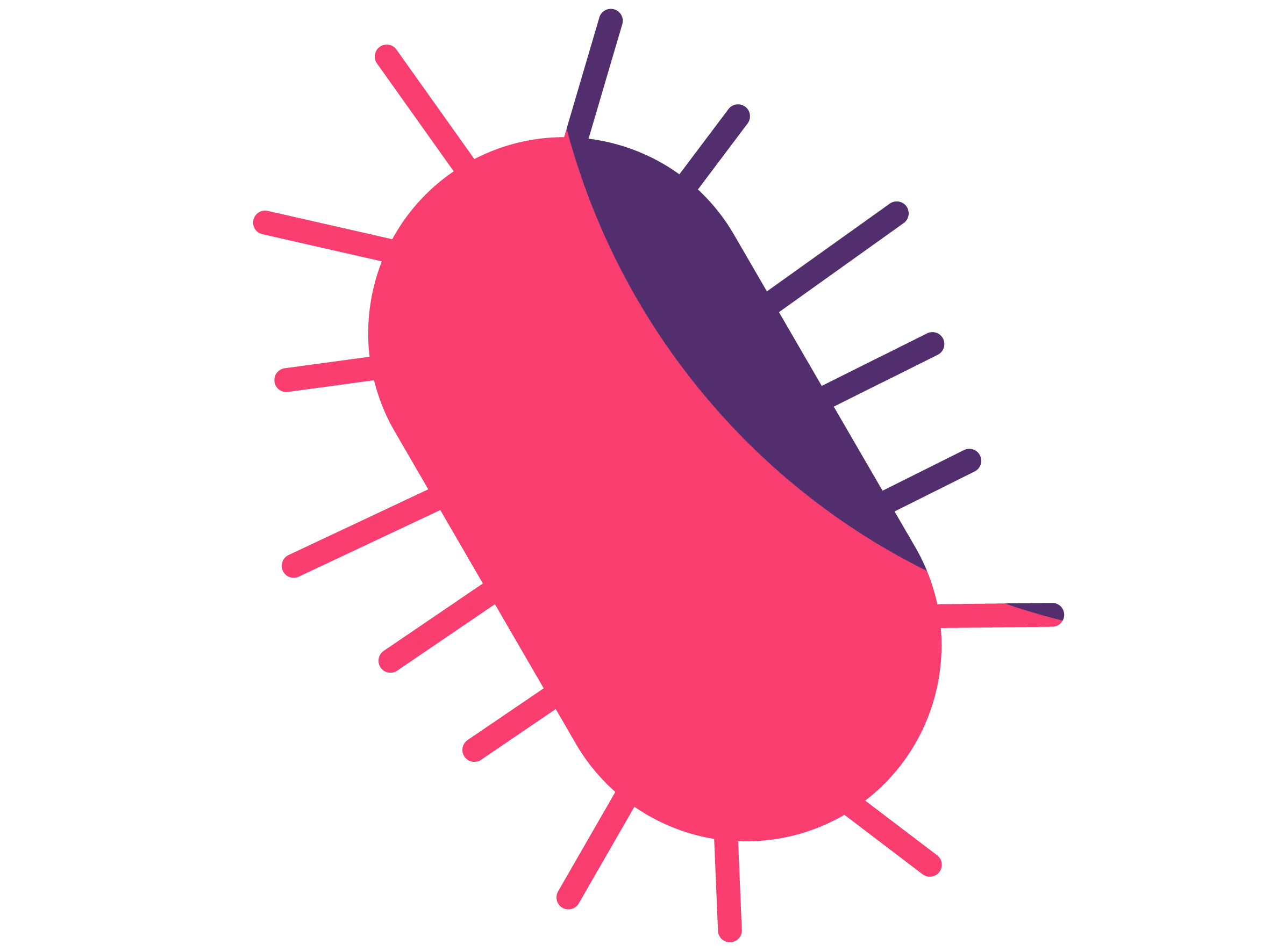 Gemeinsam gegen AMR Elemente Bakterie